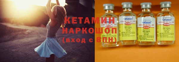 гидра Абаза