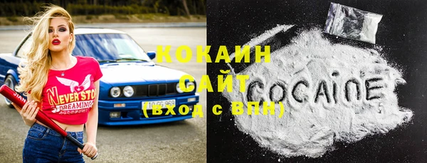 гидра Абаза
