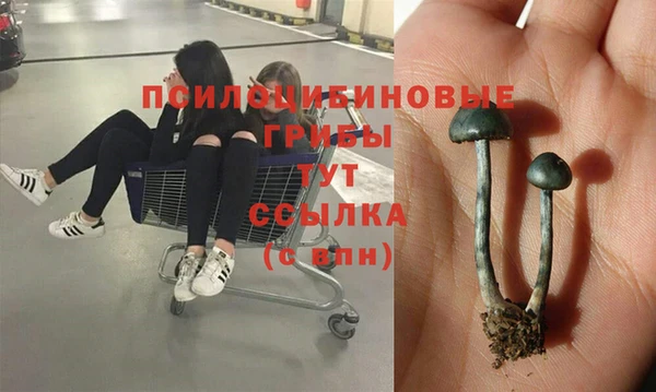 кокаин Алексин