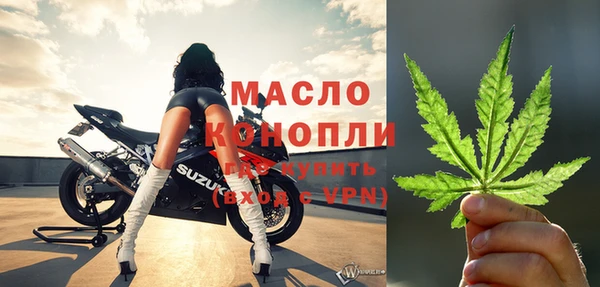 гидра Абаза