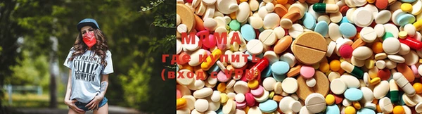 гидра Абаза