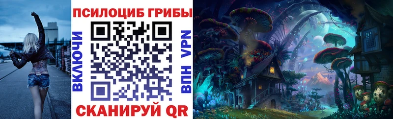 Псилоцибиновые грибы GOLDEN TEACHER  закладки  Иланский 